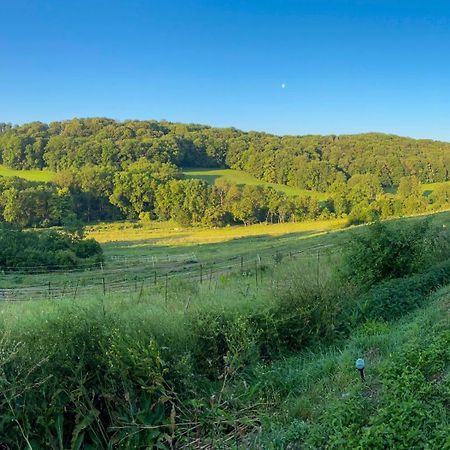 Bauernhof Fuer Naturliebhaber Bucha  Esterno foto