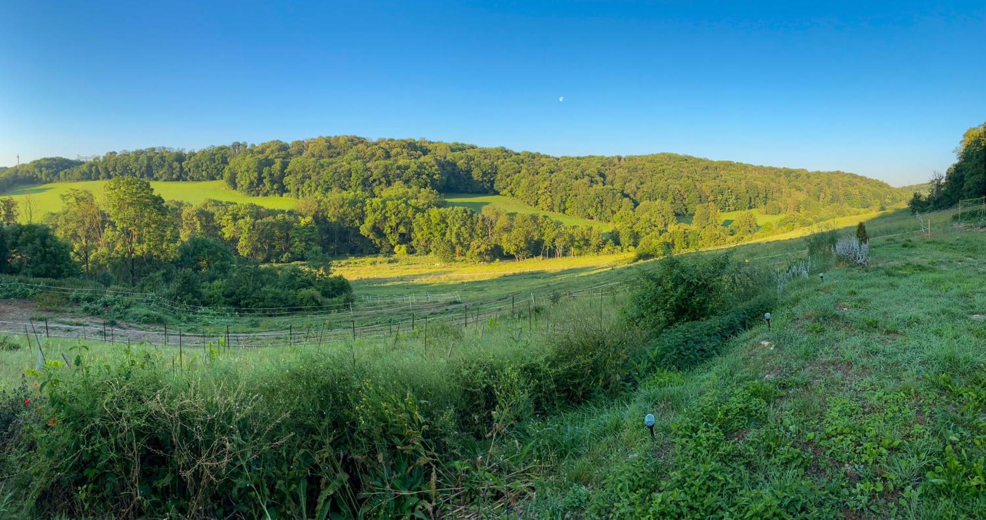Bauernhof Fuer Naturliebhaber Bucha  Esterno foto