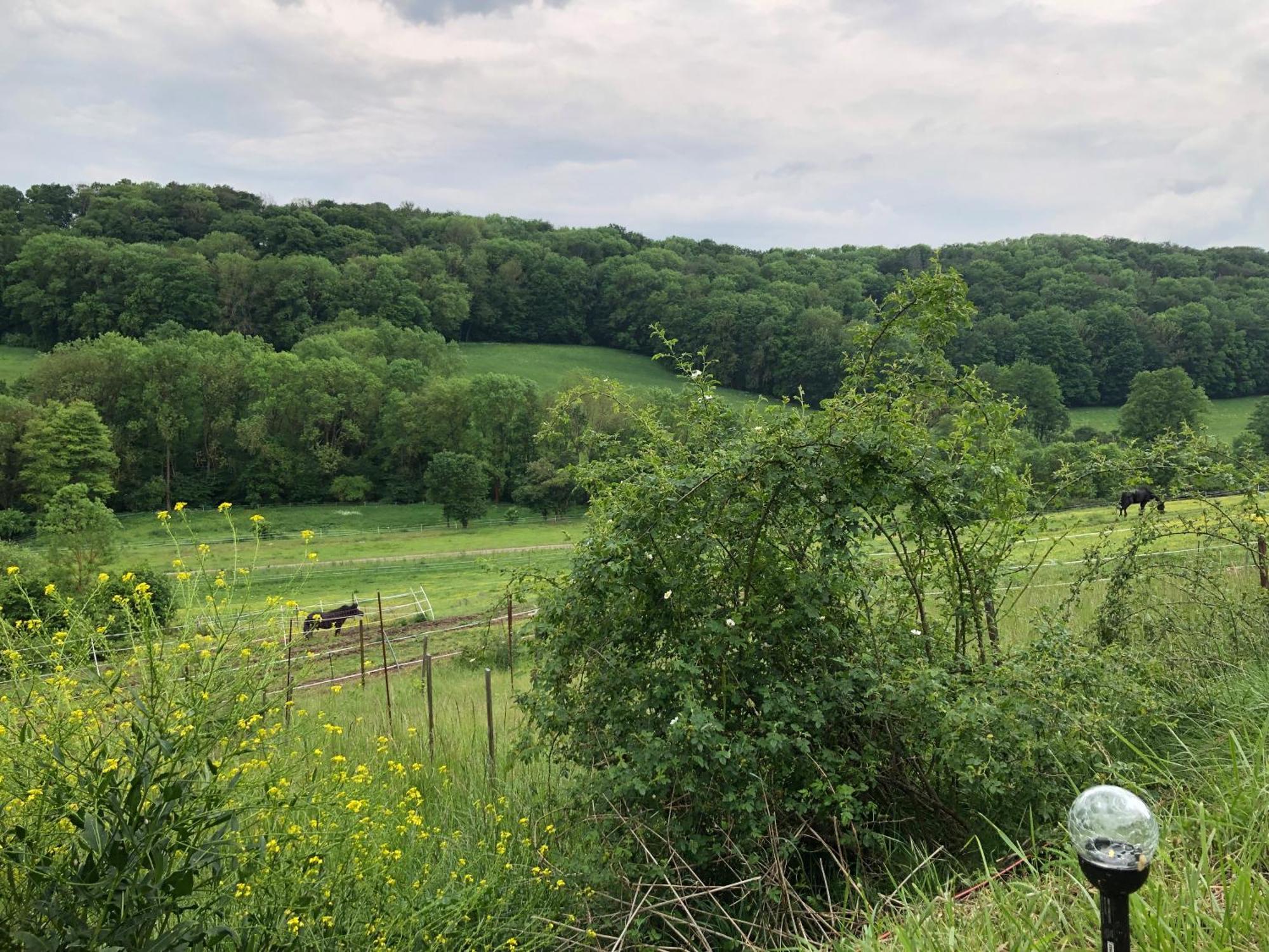 Bauernhof Fuer Naturliebhaber Bucha  Esterno foto